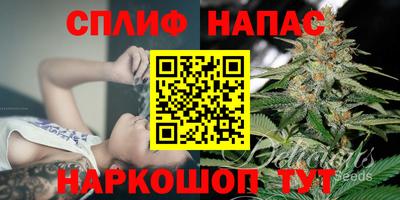 стаф Аргун