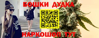 стаф Аргун