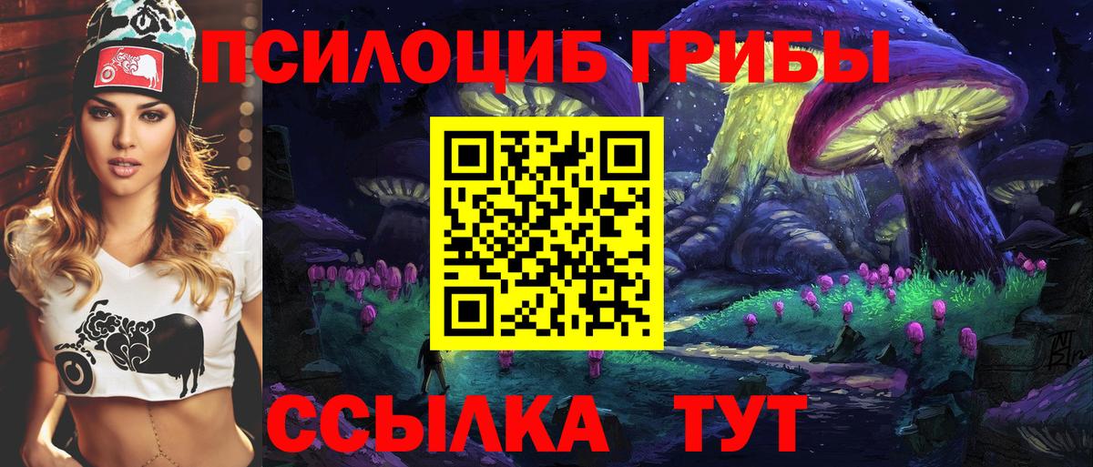 Большой Камень  где можно купить   Вход с VPN  Галлюциногенные грибы мухоморы 